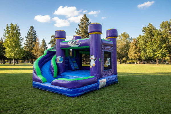 [4 X Fun] Commercial Inflatable Bounce House Combo
